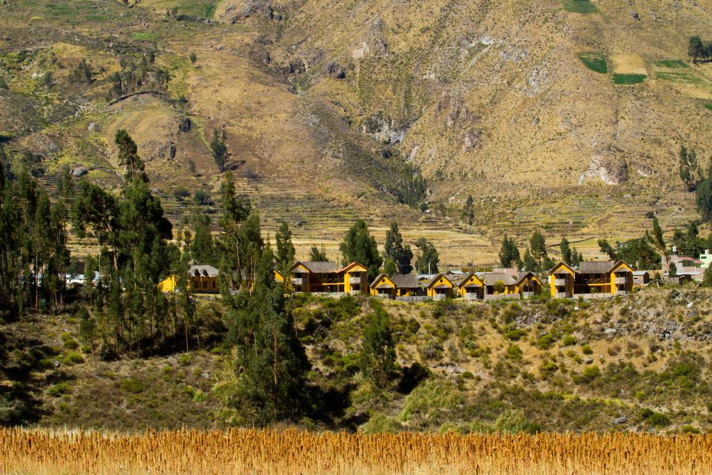 Eco Inn Colca Yanque Εξωτερικό φωτογραφία