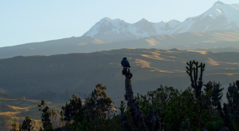 Eco Inn Colca Yanque Εξωτερικό φωτογραφία