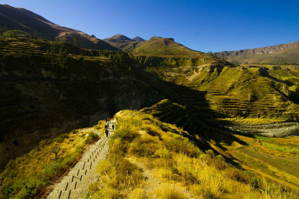 Eco Inn Colca Yanque Εξωτερικό φωτογραφία