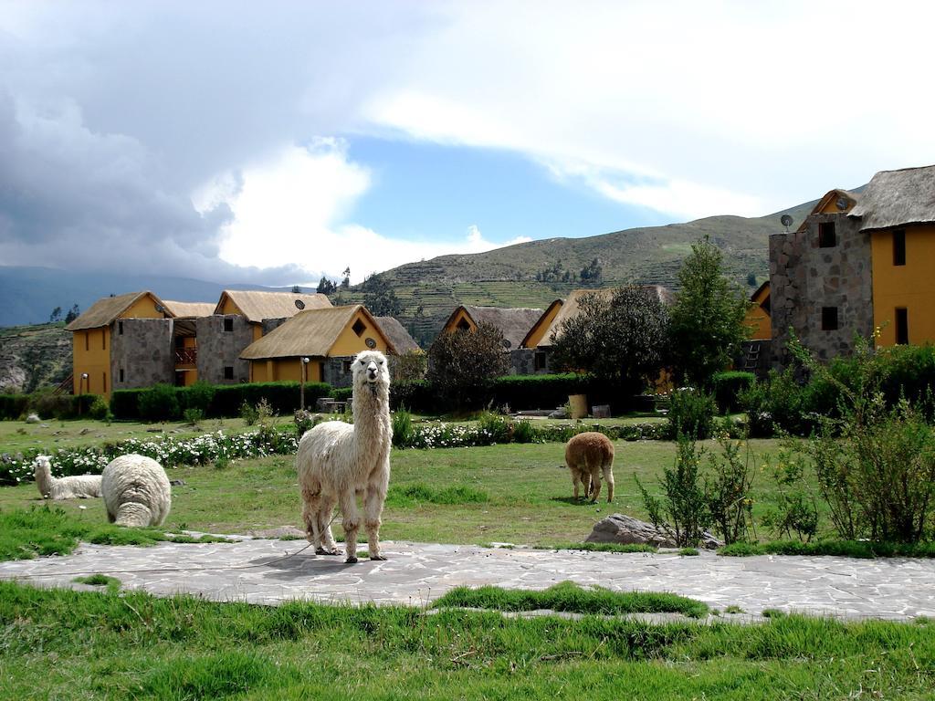 Eco Inn Colca Yanque Εξωτερικό φωτογραφία